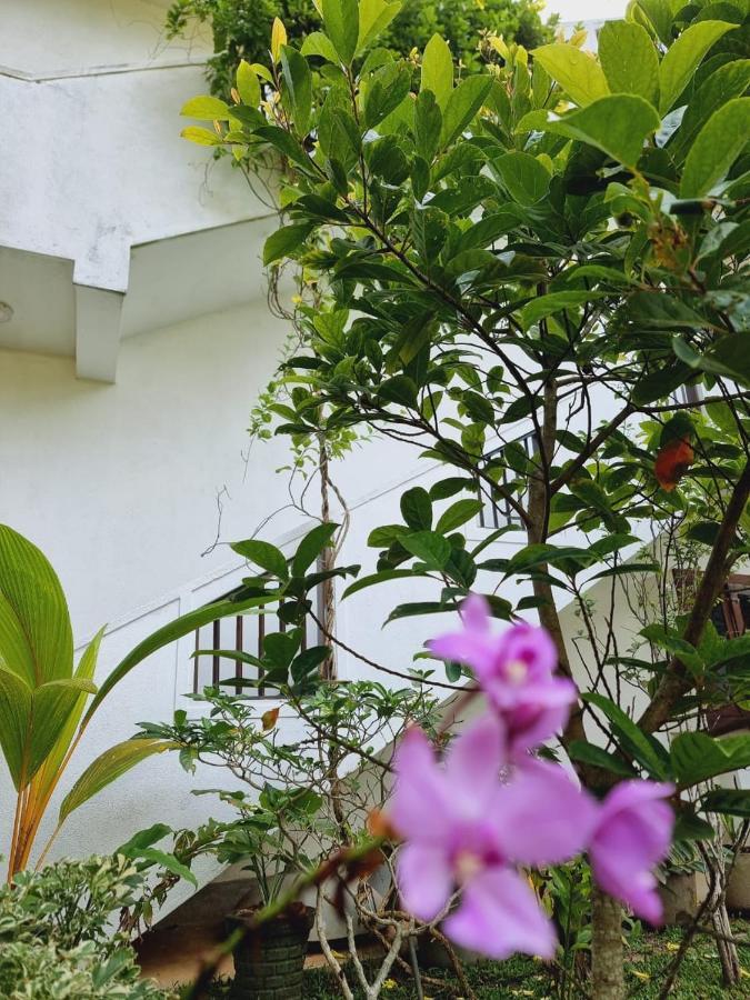 Sandil Surf House Ahangama Dış mekan fotoğraf